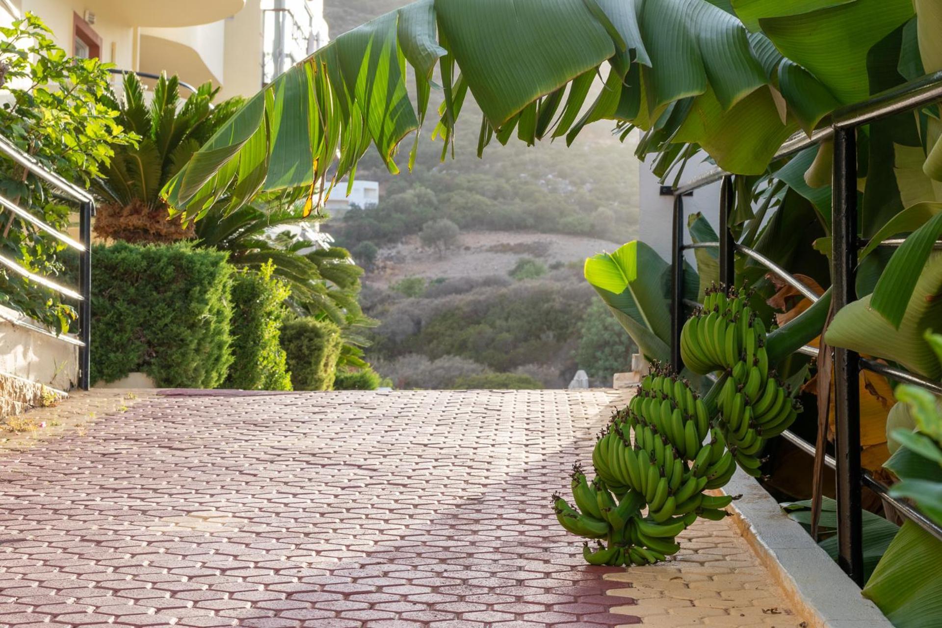 Elpis Studio Apartments Bali  Exterior foto