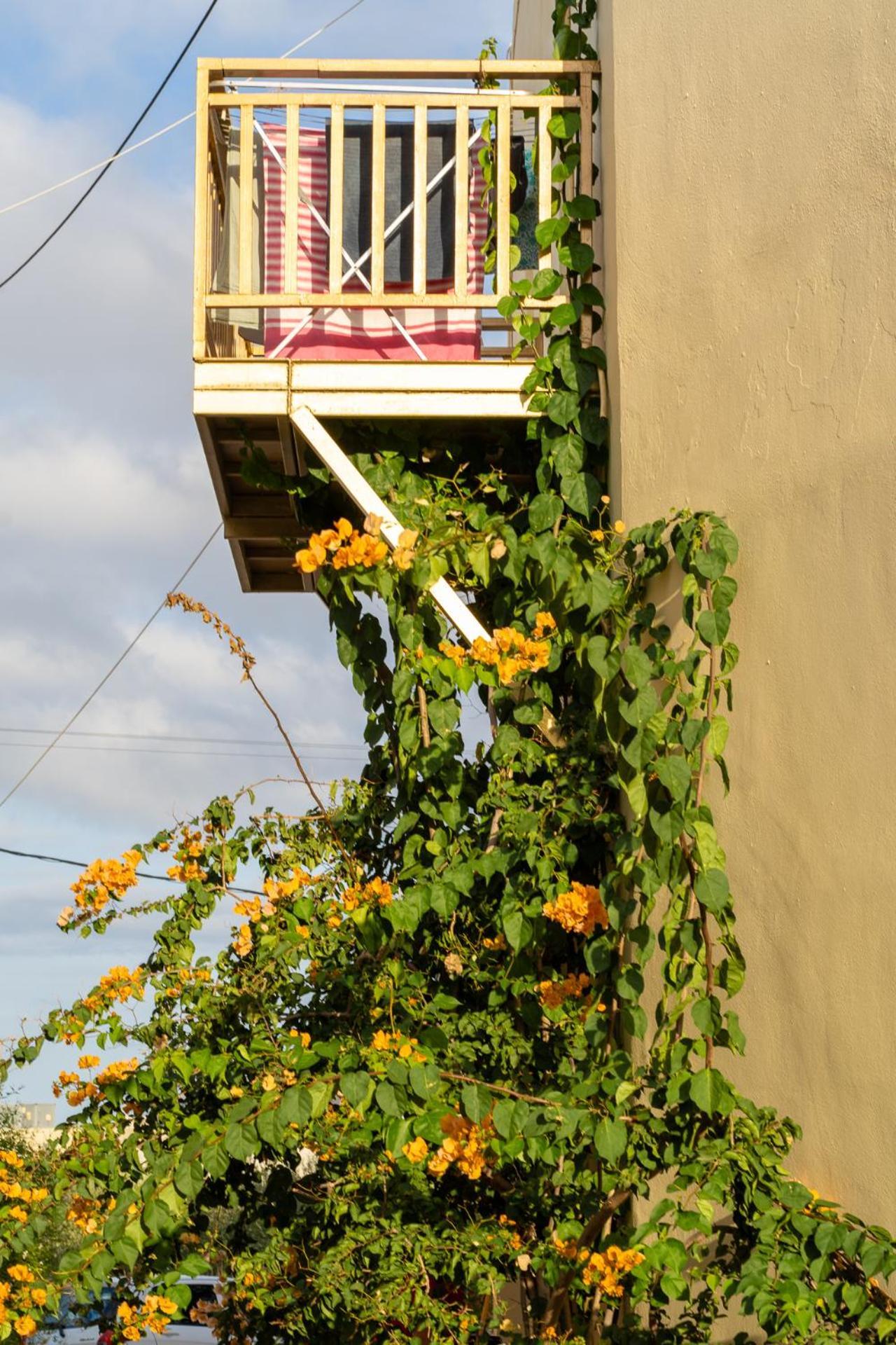 Elpis Studio Apartments Bali  Exterior foto